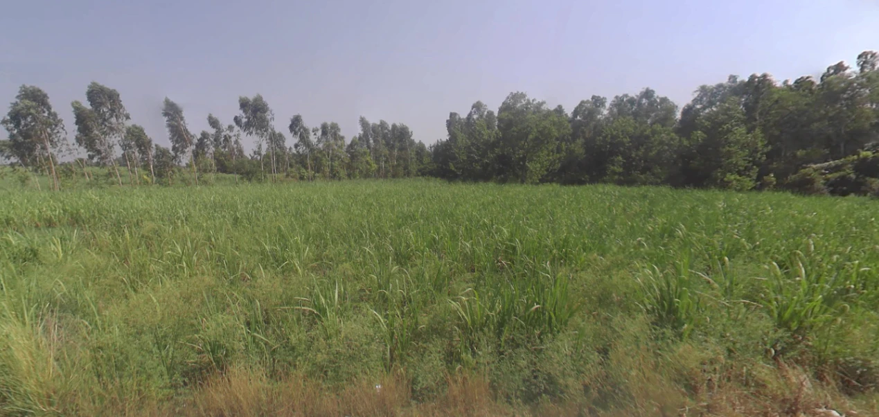 Kanth, Uttar Pradesh 244501, India