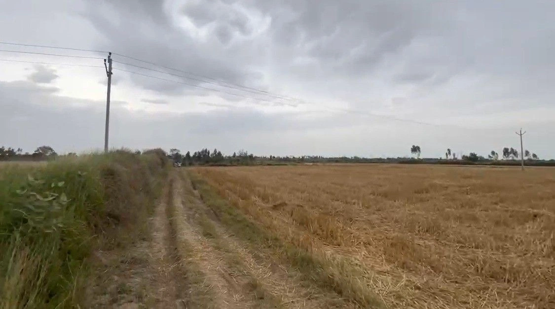 Sheetalpur, Madhya Pradesh 483119, India