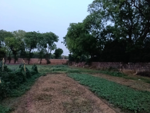 MMX5+C5 Rata Khurd, Khairthal-Tijara, Rajasthan, India