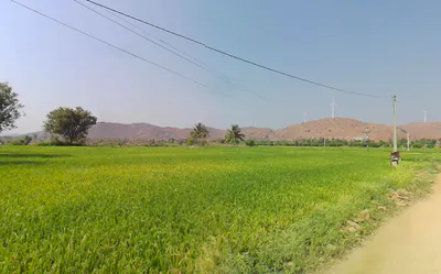 4JX3+F6 Erramanchi, Andhra Pradesh, India preview 2