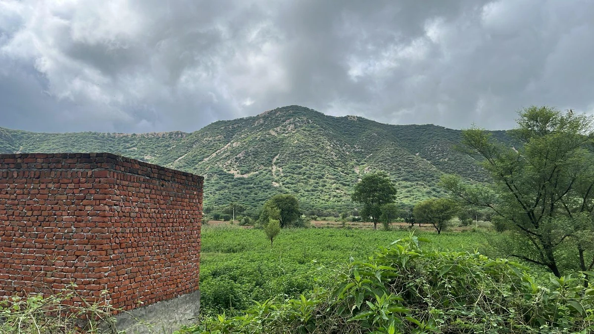 2PJP+HW, Basant Bihar, Rajasthan 333514, India