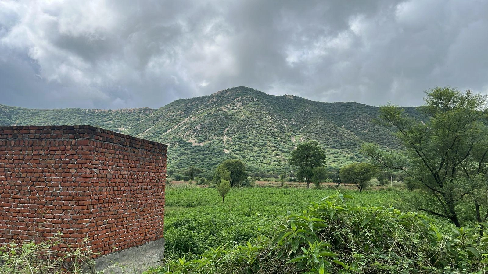 2PJP+HW, Basant Bihar, Rajasthan 333514, India