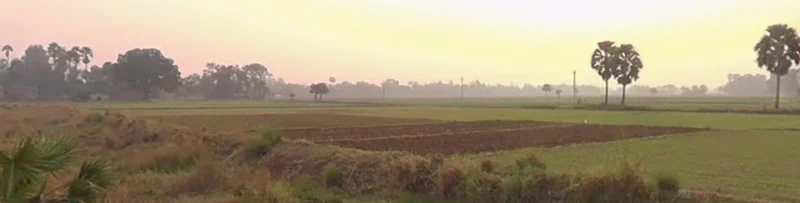 Dulhin Bazar - Naubatpur Rd, Pila Chak, Bihar, India preview 3