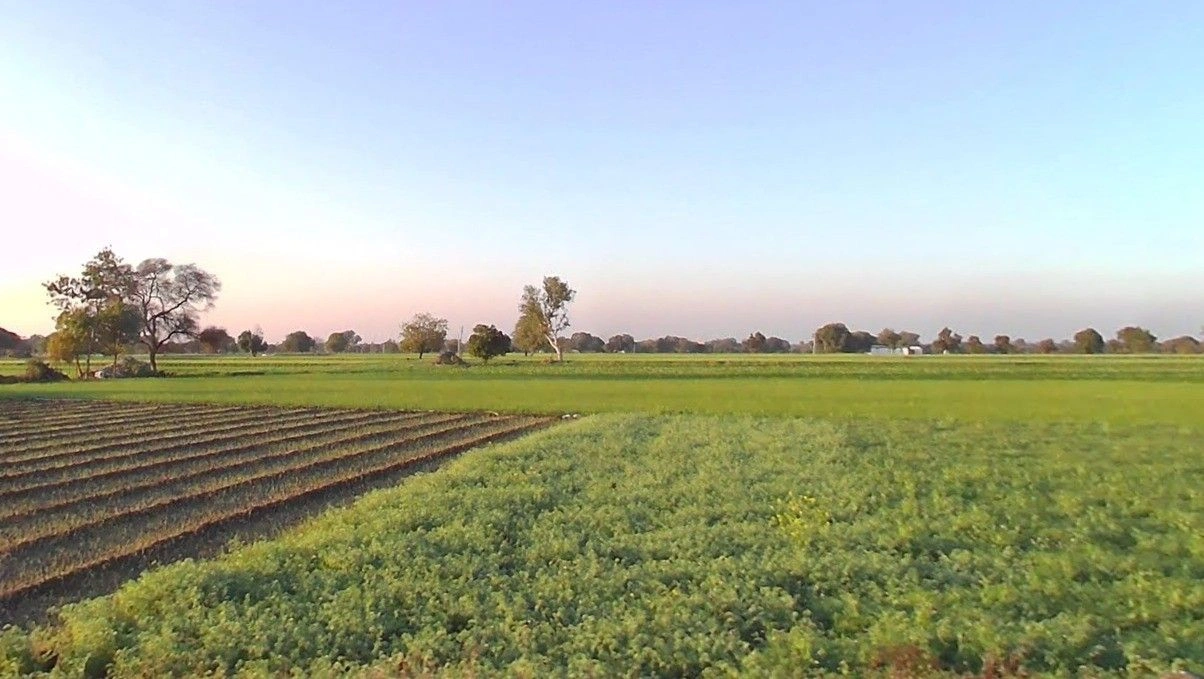 Chirula, Madhya Pradesh, India