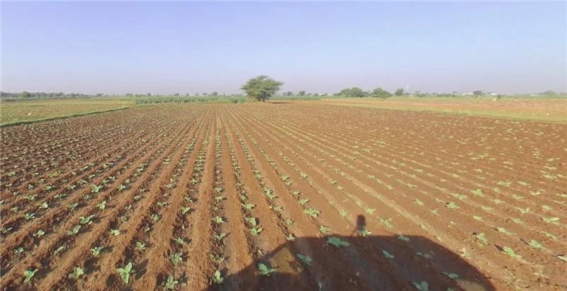 HFW8+6J Sukhpur, Gujarat, India