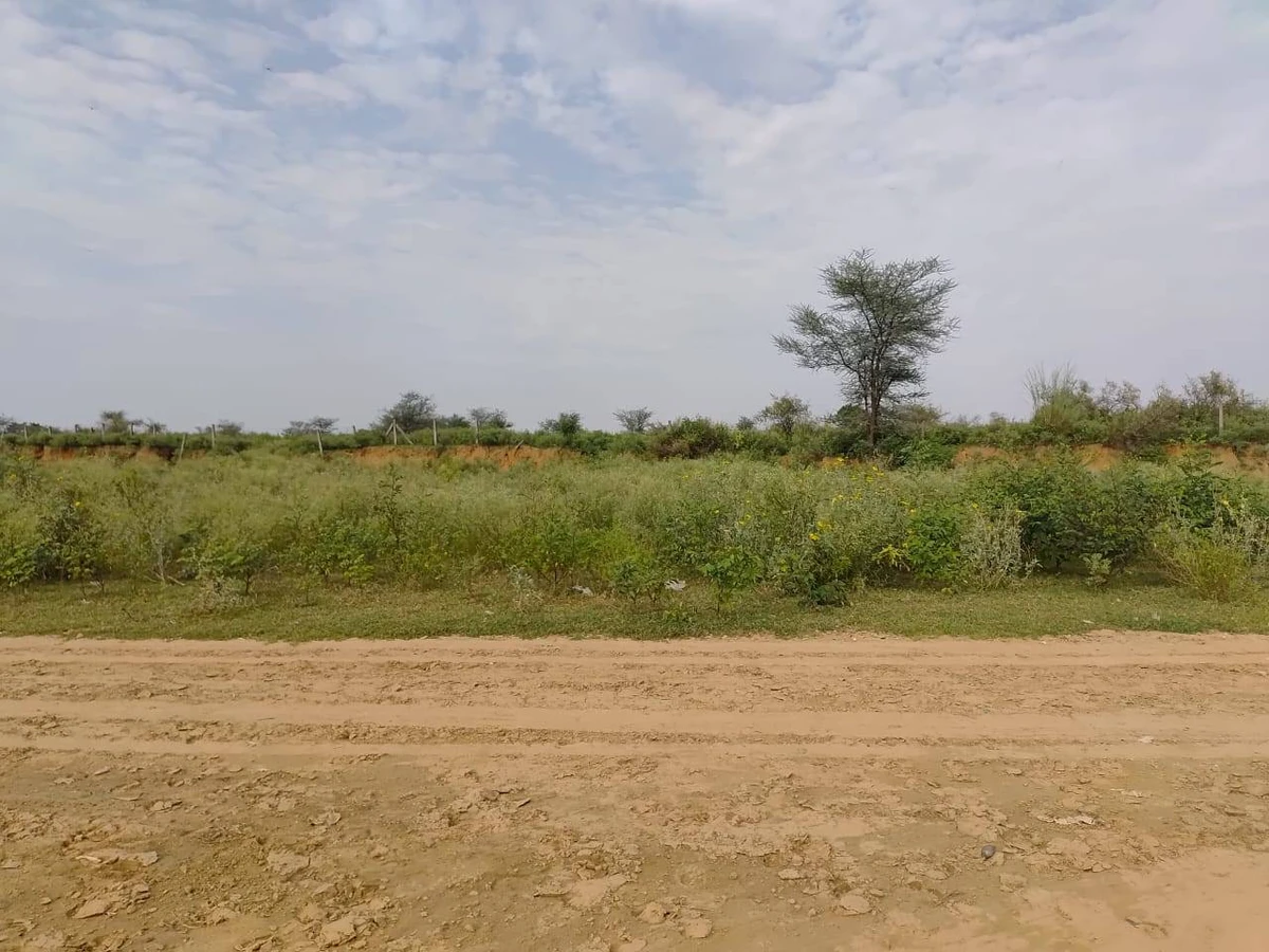 Bandhwari Rd, Balola, New Delhi, Bandhwari, Haryana 122101, India