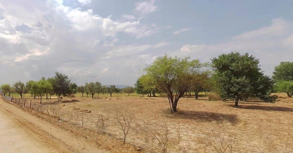 Kochhor, Rajasthan 332406, India