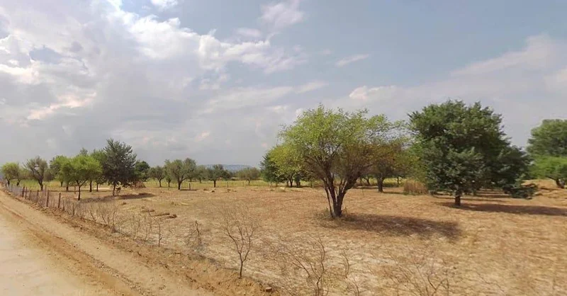 Kochhor, Rajasthan 332406, India preview 3