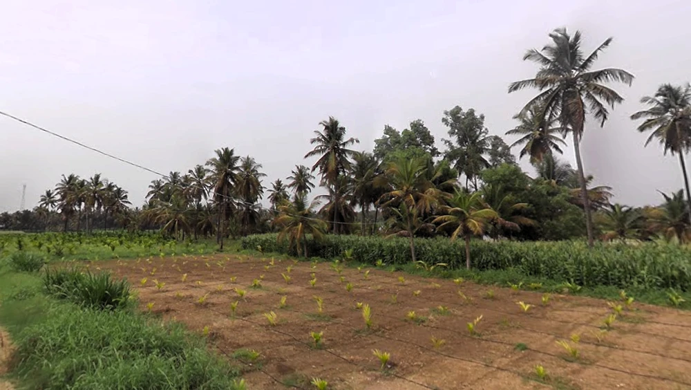 kalenahalli, Karnataka 560089, India
