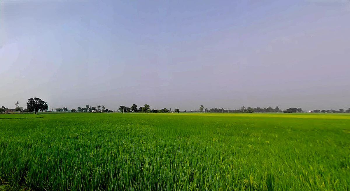 Rakhra, Punjab, India