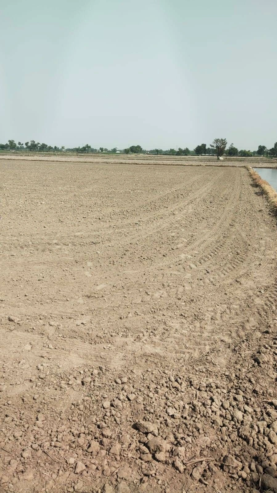 Chainpuriya, Rajasthan 311604, India