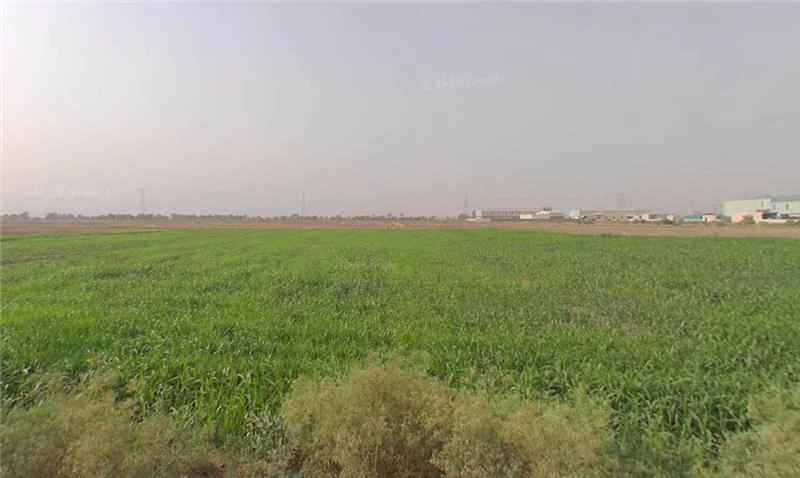 Udaipur, Rajasthan, India