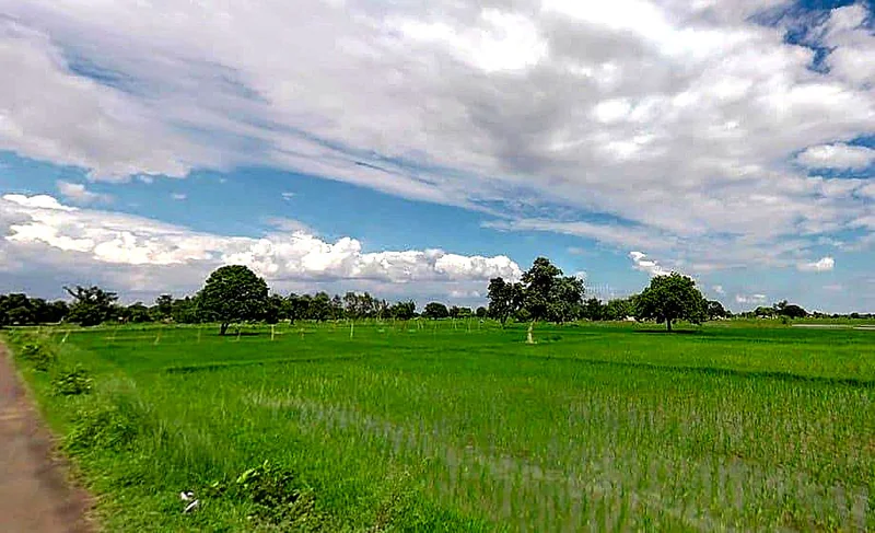 Kalyanpur, Uttar Pradesh 212108, India preview 2