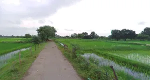 Hapur, Uttar Pradesh 245101, India preview 3