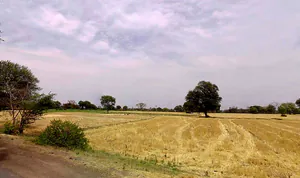 Parwatkheda, Madhya Pradesh 456443, India preview 2