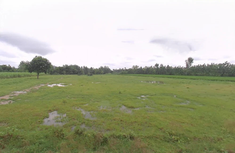 Mohra Ki Milak, Moradabad, Uttar Pradesh 244105, India