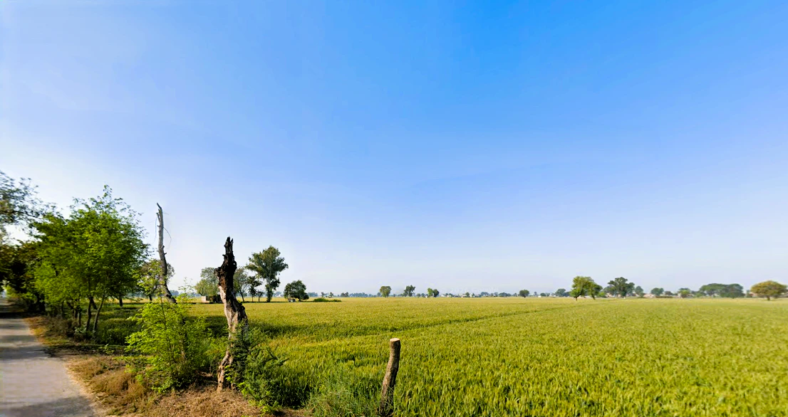 Rania, Haryana 125076, India