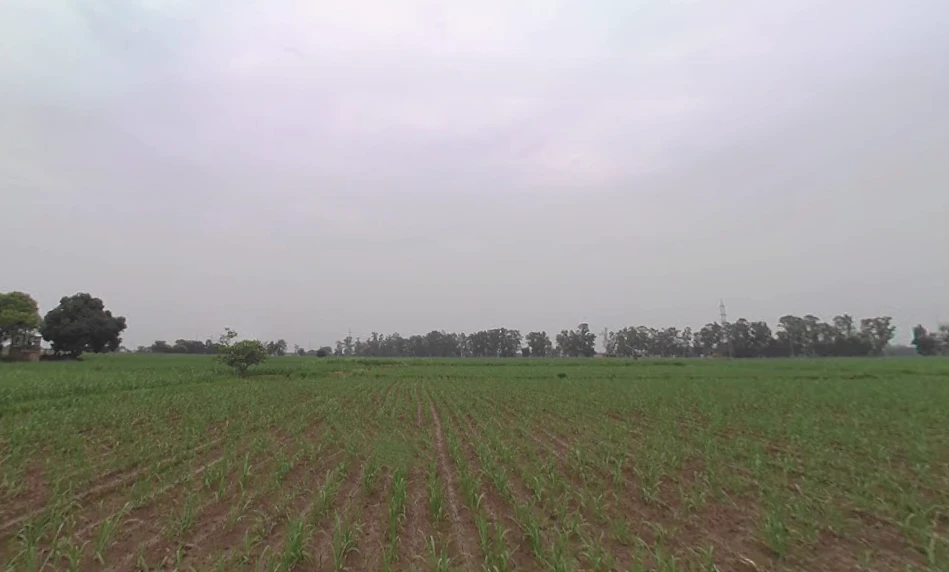 Muzaffarnagar, Uttar Pradesh, India
