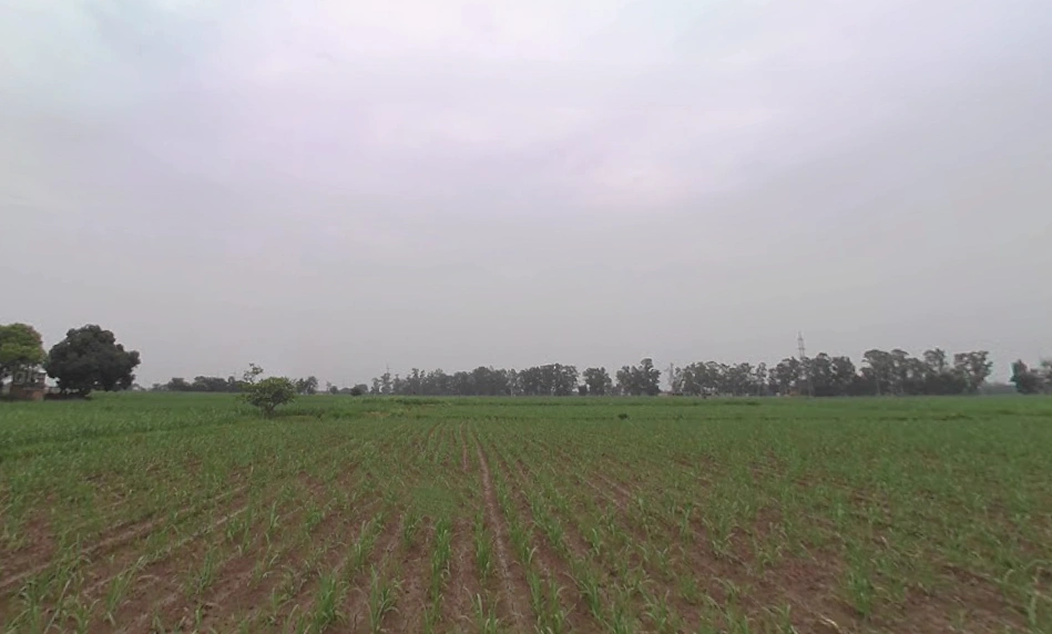 Muzaffarnagar, Uttar Pradesh, India