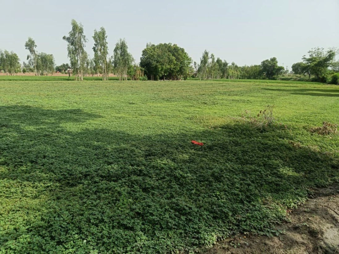 Sonkatch, Dewas, Madhya Pradesh 455118, India