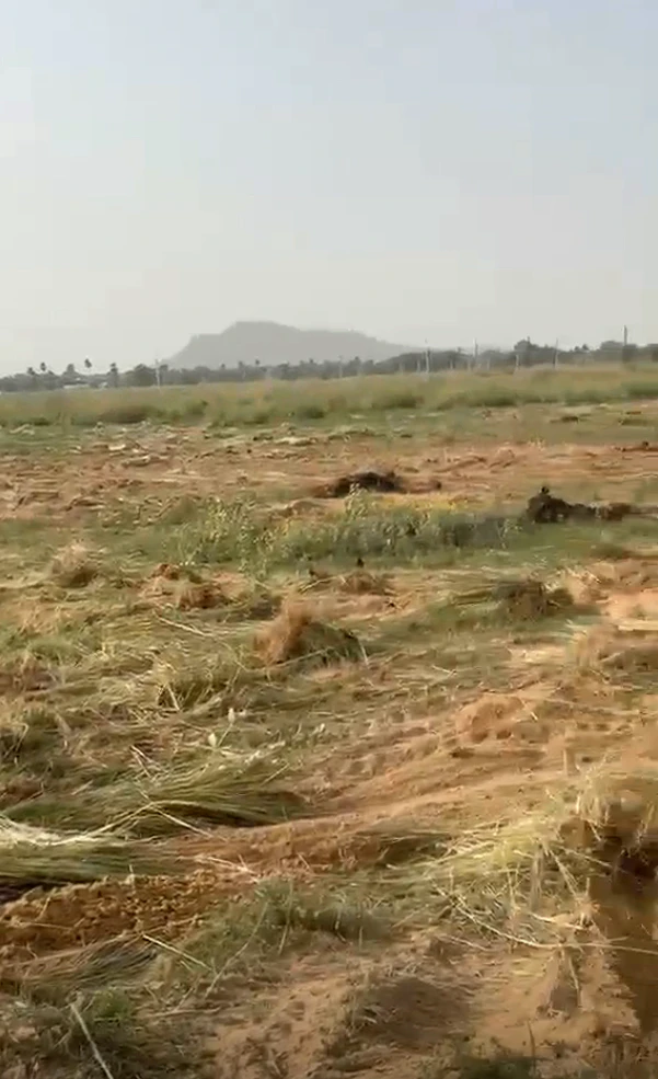 CXP7+QF5, Rampura, Rajasthan 303103, India