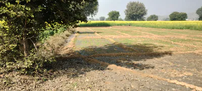 8HPW+76, Shivpuri, Bilo Kalan, Madhya Pradesh 473551, India preview 2
