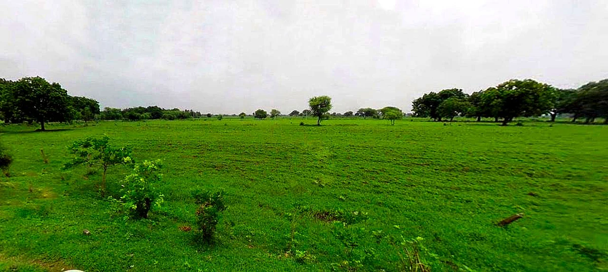 Chaumuhan, Uttar Pradesh 281406, India