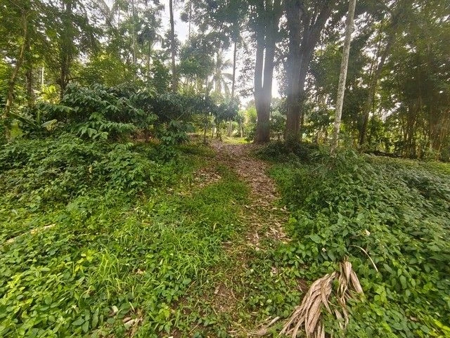 R5QV+2Q Padichira, Kerala, India