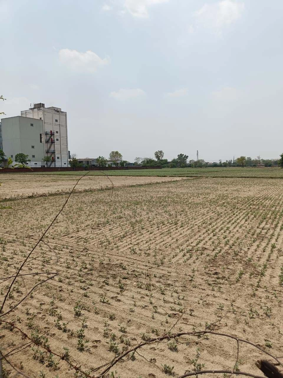 Gharwari, Rajasthan 321201, India