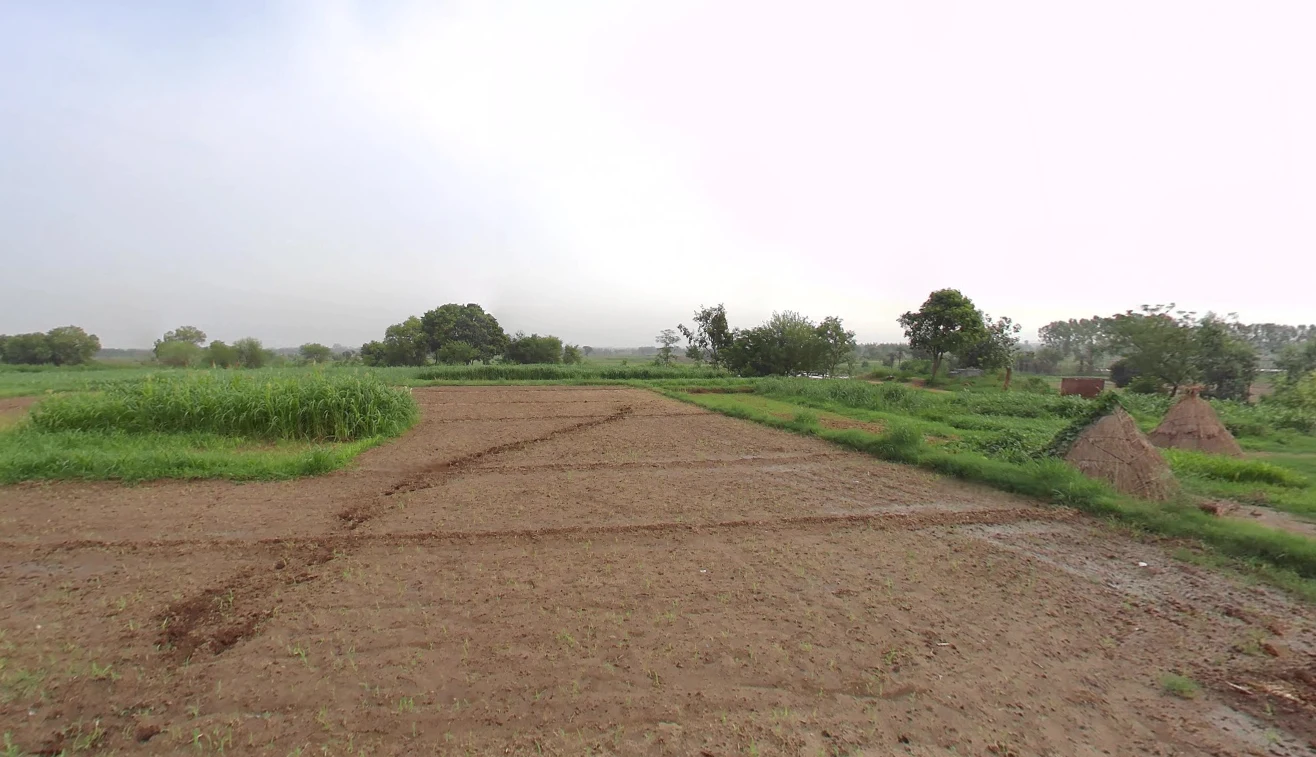 Nahan, Himachal Pradesh 173001, India