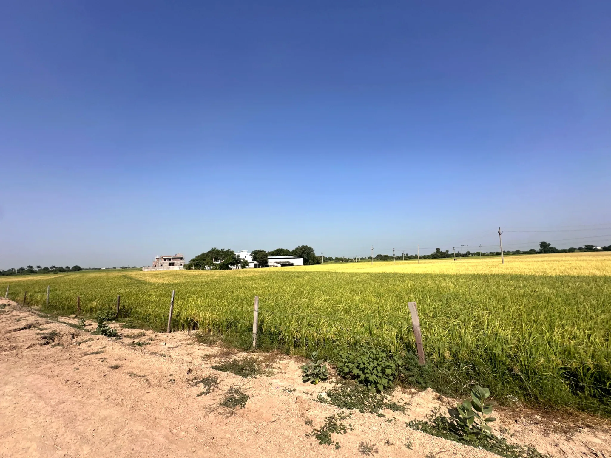 Kota, Rajasthan 324001, India - Photo 4