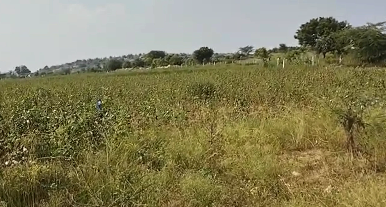 V478+M8 Gurrampode, Nalgonda, Telangana, India - Photo 2