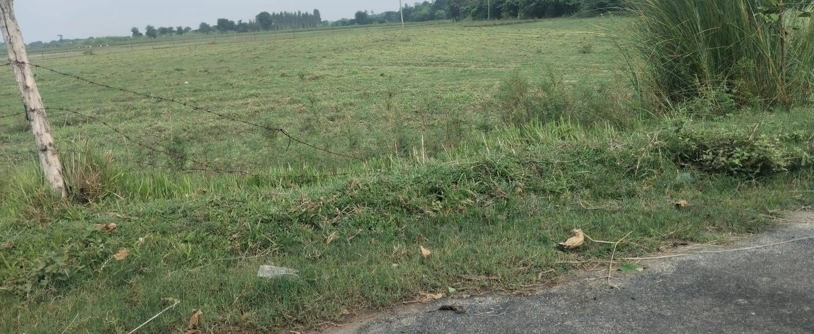 R5VV+49 Balpur, Gonda, Uttar Pradesh, India