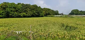 Unnao, Uttar Pradesh, India preview 3