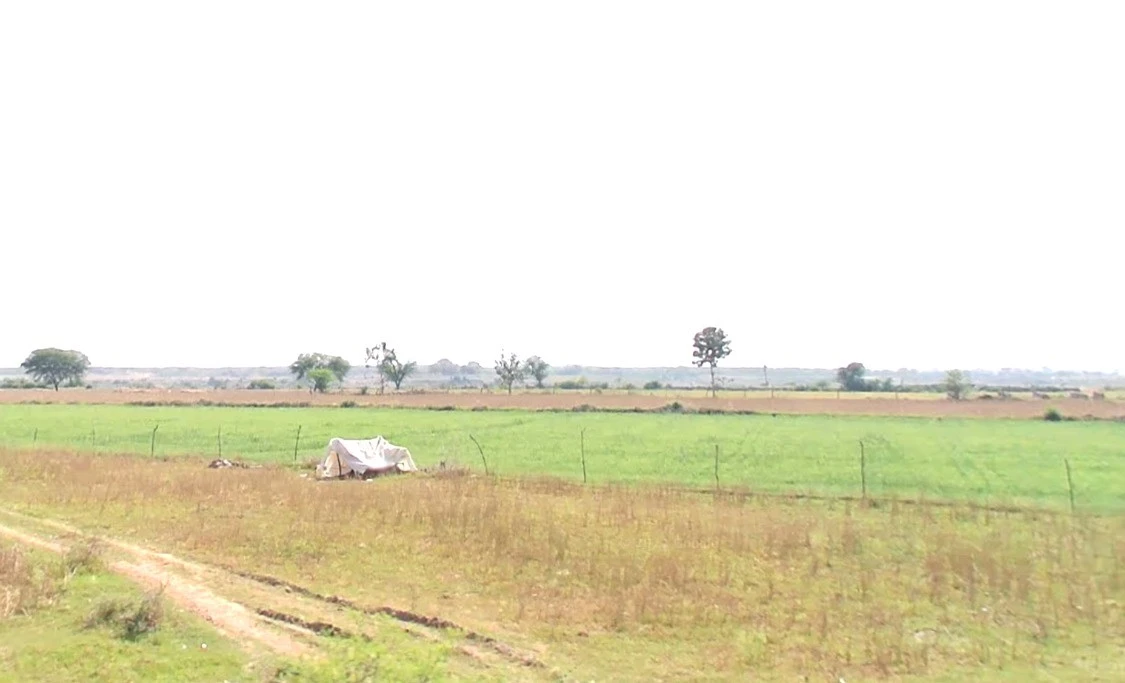 Suwarkota, Madhya Pradesh 465001, India