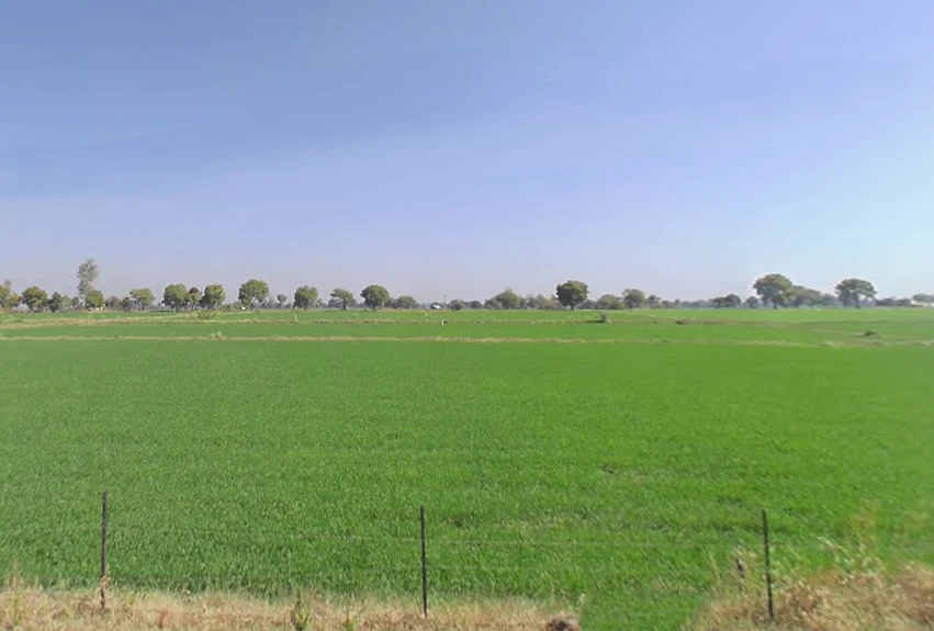 Jhirniya, Madhya Pradesh 462036, India