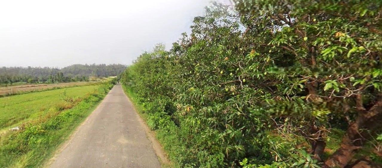 Bazpur, Uttarakhand 262401, India preview 3