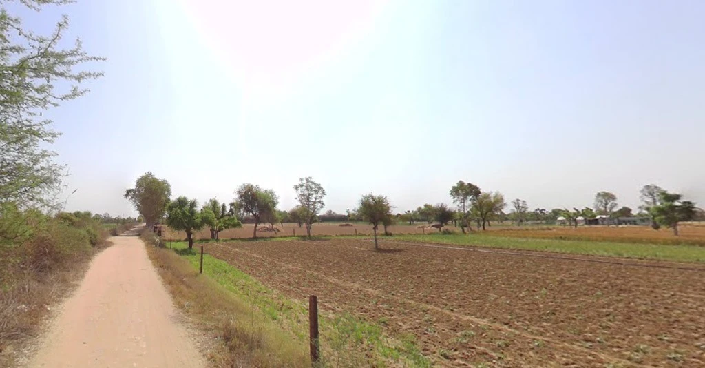 Aama, Rajasthan 311025, India