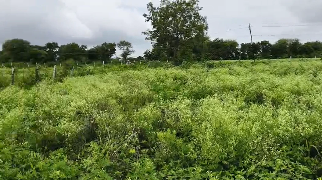 9PWX+6X2, Vikarabad, Lingampally, Telangana 501106, India