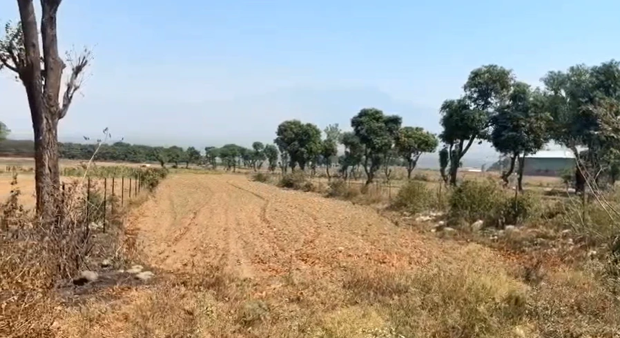 Jatowala, Uttarakhand 248197, India