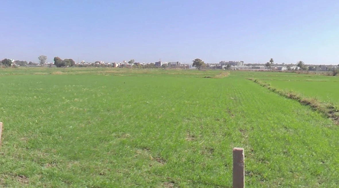 Bawadiya Kalan, Gulmohar Colony, Bhopal, Madhya Pradesh, India
