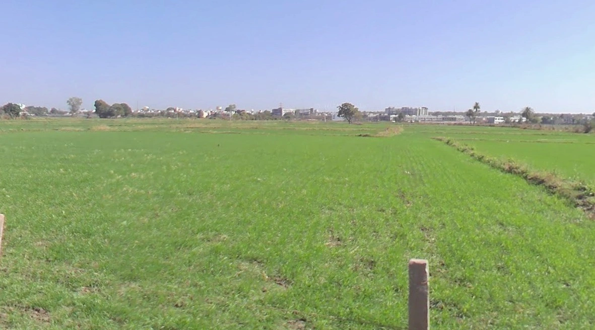 Bawadiya Kalan, Gulmohar Colony, Bhopal, Madhya Pradesh, India
