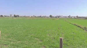 Bawadiya Kalan, Gulmohar Colony, Bhopal, Madhya Pradesh, India preview 3