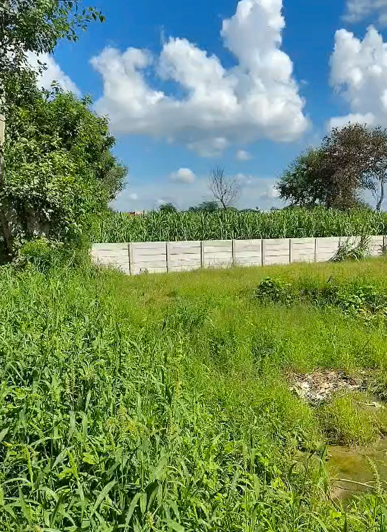 Aurangabad, Palwal, Haryana 121105, India