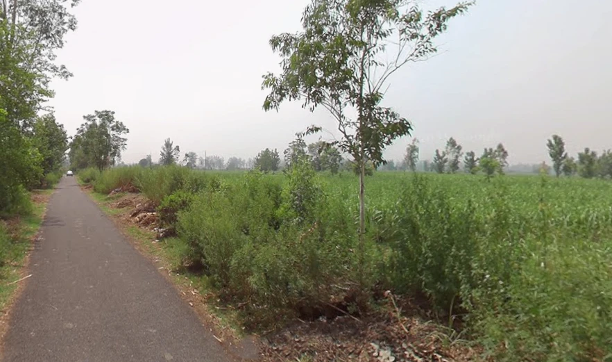 Jhunjhuni, Uttar Pradesh 250401, India