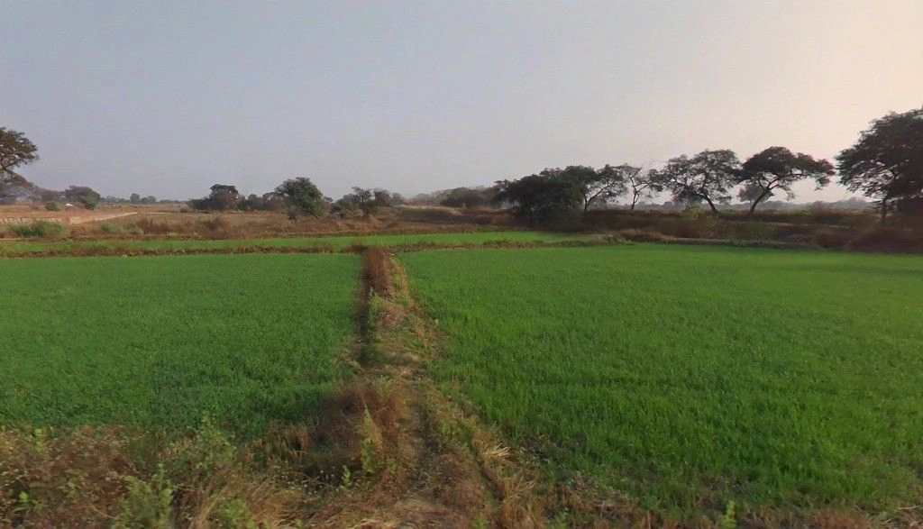 Sankara, Chhattisgarh 492112, India