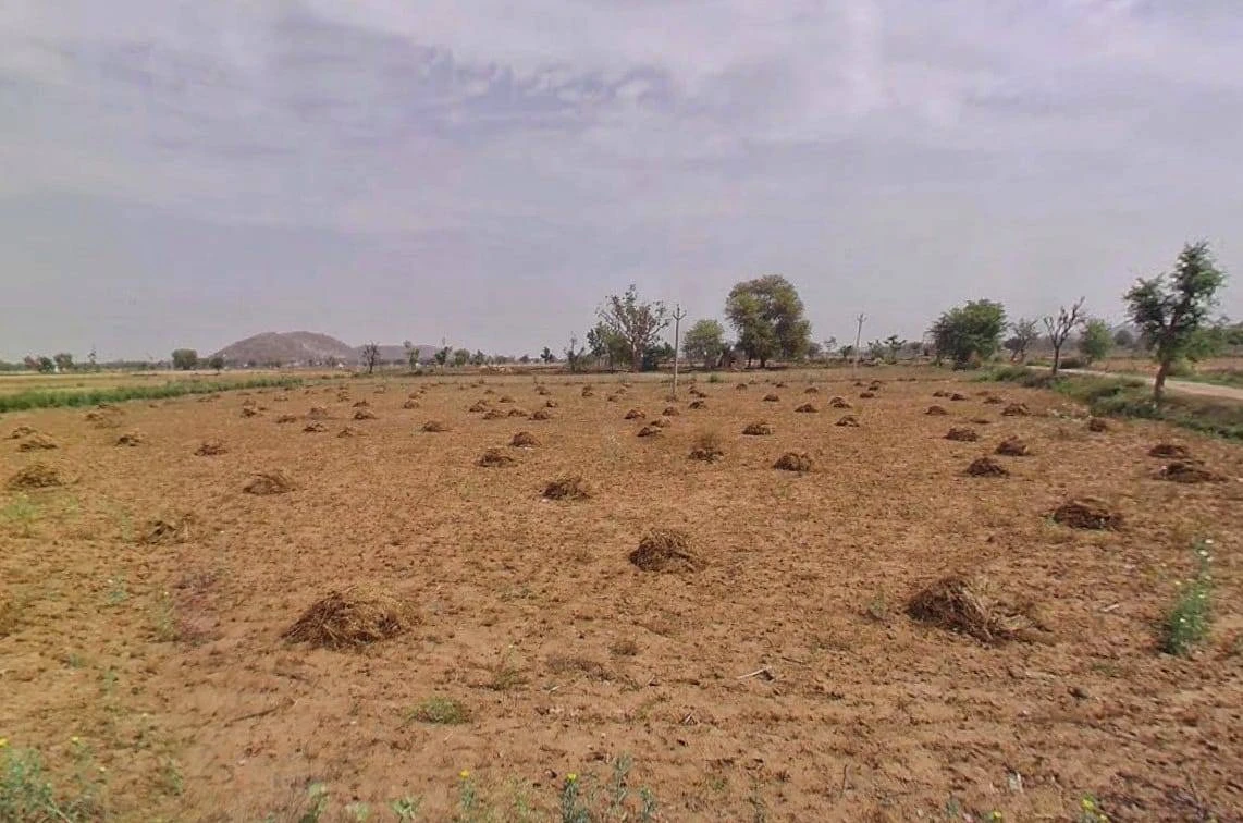 QM6M+8P Jeelota, Rajasthan, India