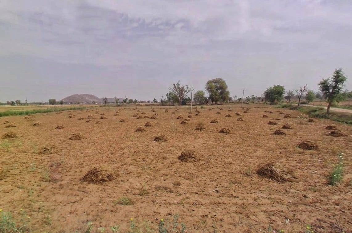 QM6M+8P Jeelota, Rajasthan, India