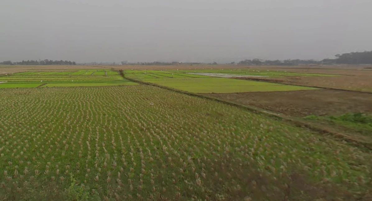 Birohi, Shitalatala, West Bengal 741245, India