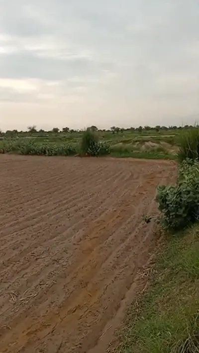 HVW9+2HR, Jaipur, Sewapura, Rajasthan, India preview 2